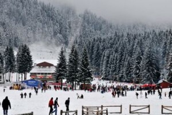 Românii cheltuiesc între 250 şi 500 de euro pentru vacanţele de Crăciun şi Revelion